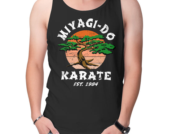 Miyagi Karate