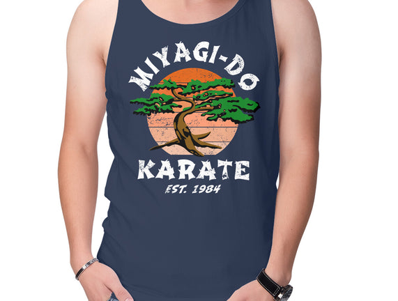 Miyagi Karate