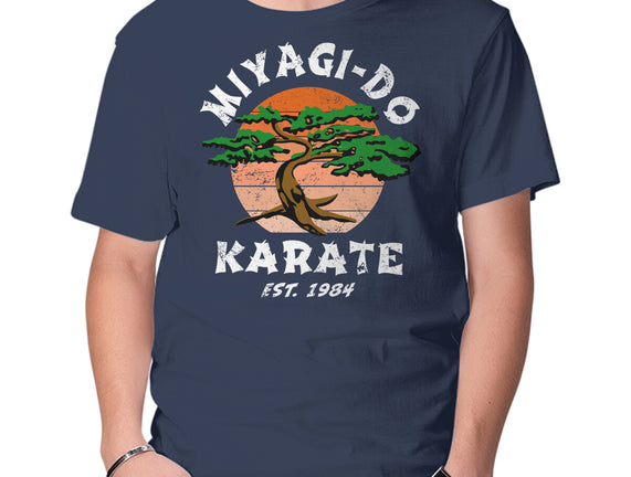 Miyagi Karate