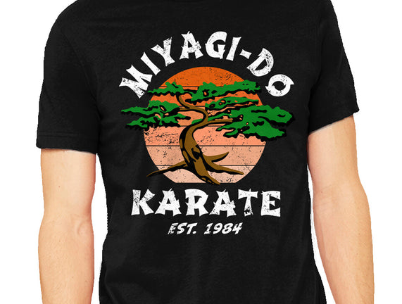 Miyagi Karate