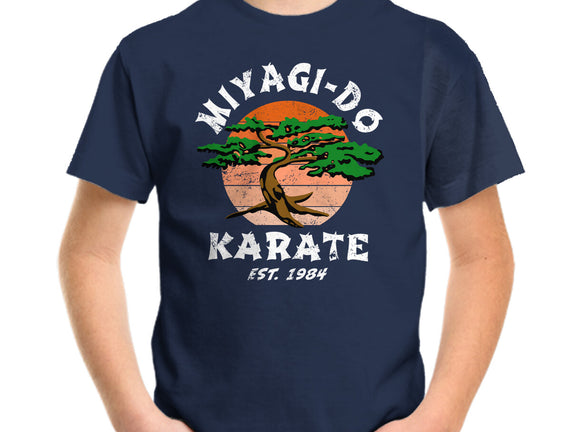 Miyagi Karate