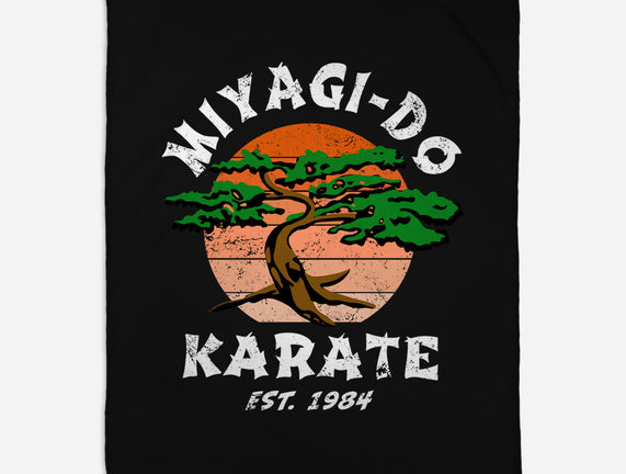 Miyagi Karate