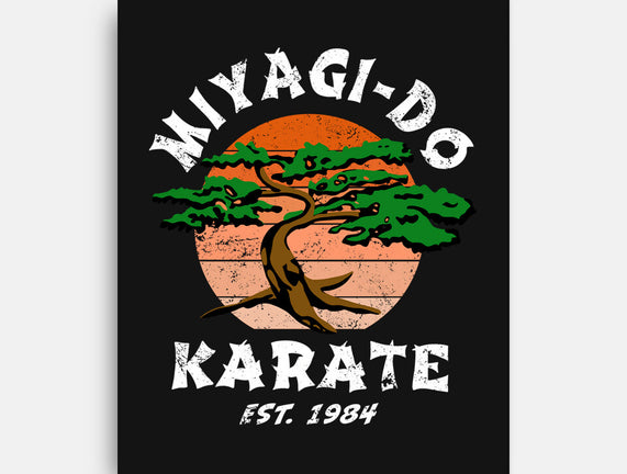 Miyagi Karate