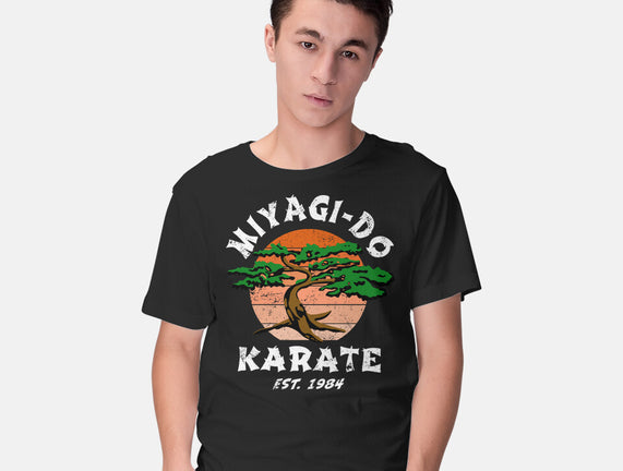 Miyagi Karate