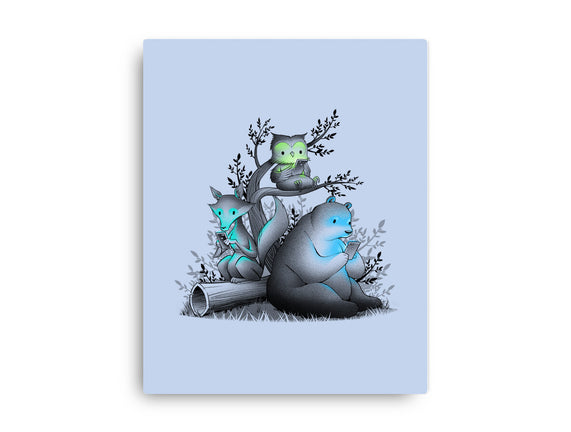 Connecting With The Forest Animals