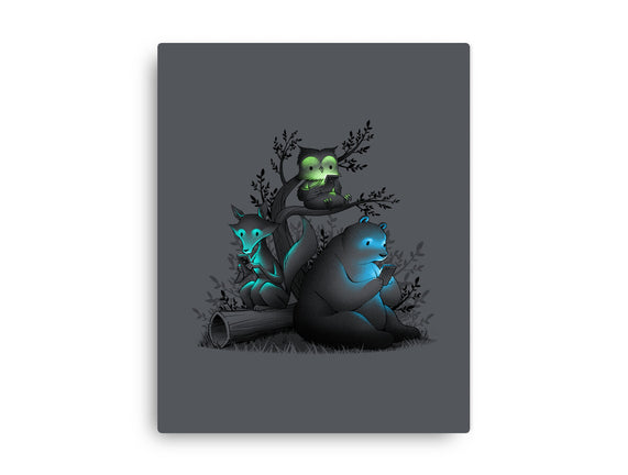 Connecting With The Forest Animals