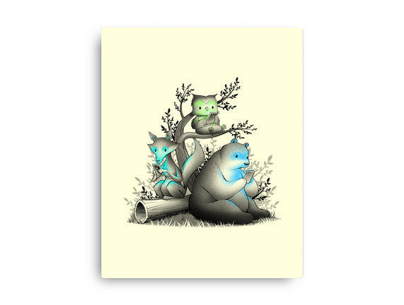 Connecting With The Forest Animals