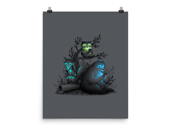 Connecting With The Forest Animals