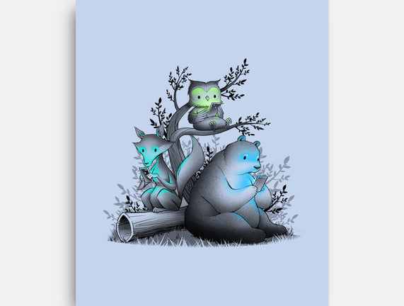 Connecting With The Forest Animals