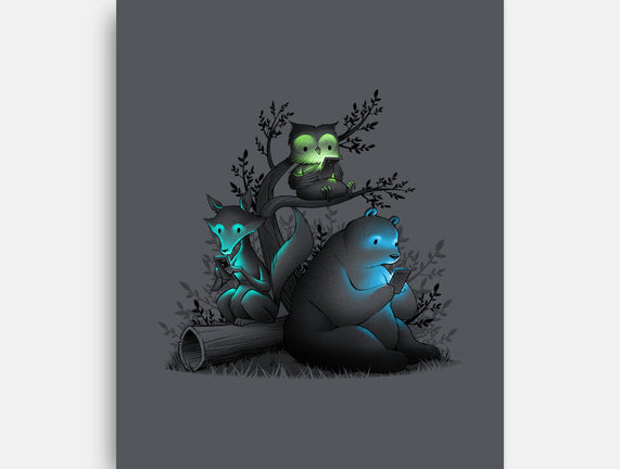 Connecting With The Forest Animals