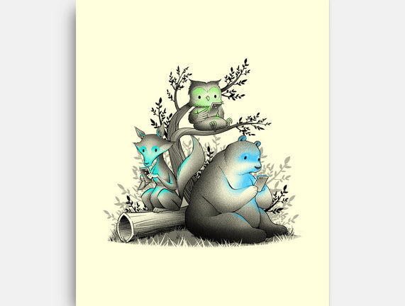 Connecting With The Forest Animals