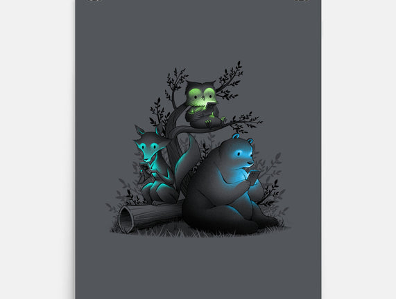 Connecting With The Forest Animals