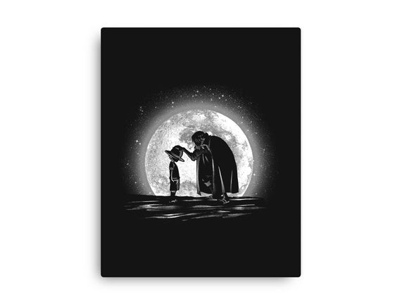 Moonlight Straw Hat
