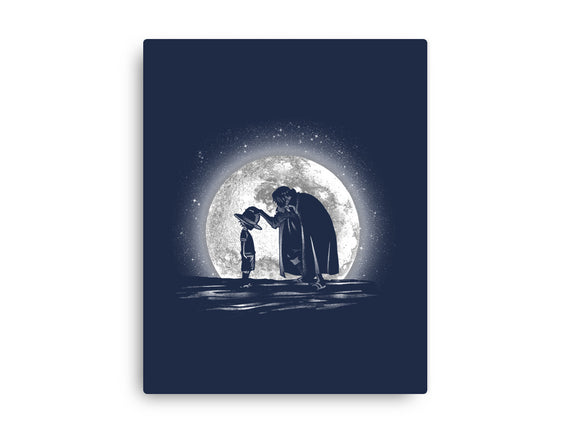 Moonlight Straw Hat