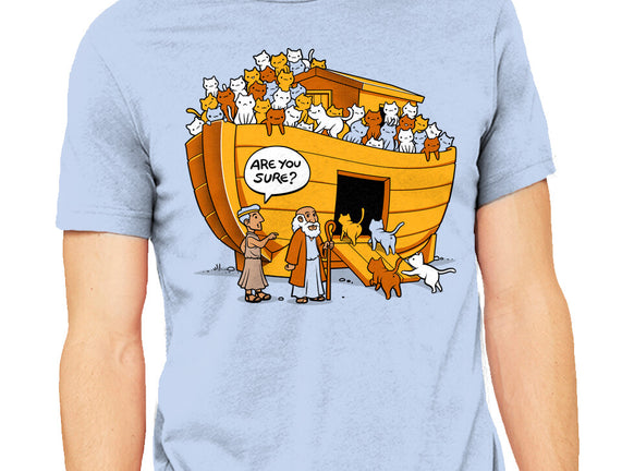 Noah's Ark Cat