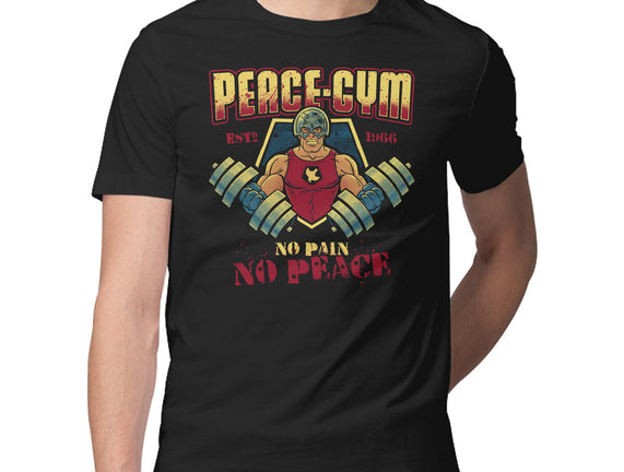 Peace Gym