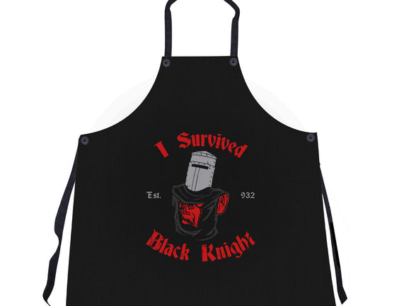 I Survived Black Knight