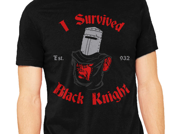 I Survived Black Knight