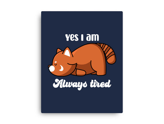 I Am Always Tired