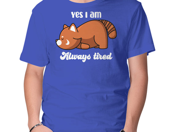 I Am Always Tired