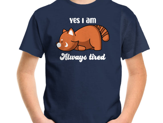 I Am Always Tired