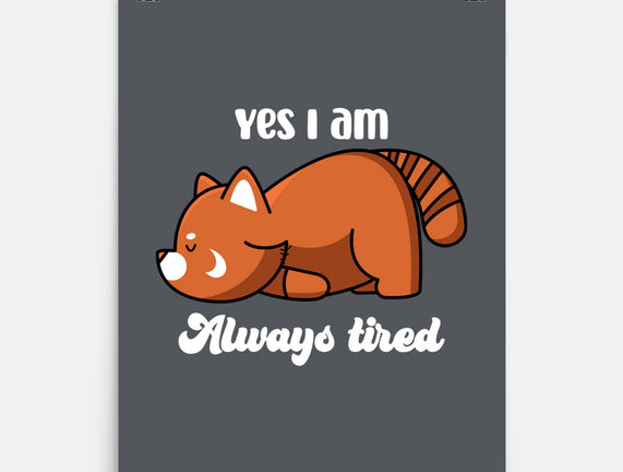 I Am Always Tired