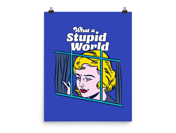 Stupid World