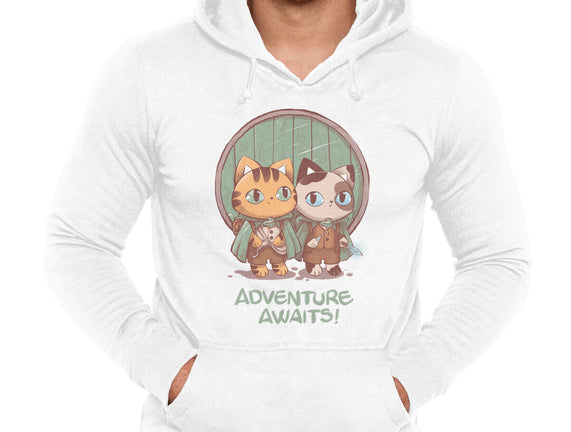 Kitten Adventure Awaits