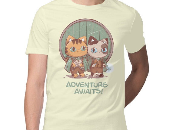 Kitten Adventure Awaits