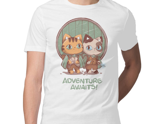 Kitten Adventure Awaits