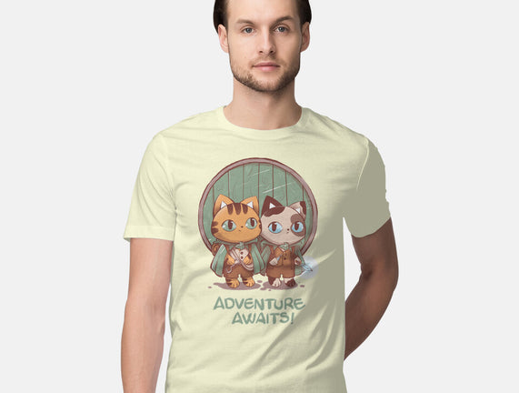 Kitten Adventure Awaits