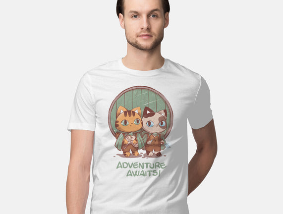 Kitten Adventure Awaits