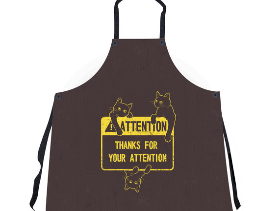 Thanks For Your Attention