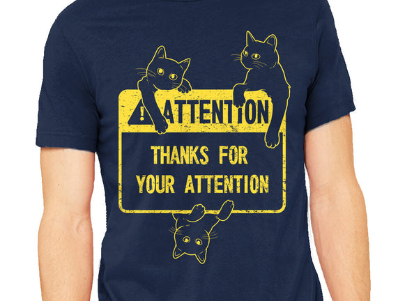 Thanks For Your Attention