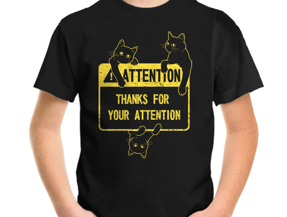 Thanks For Your Attention