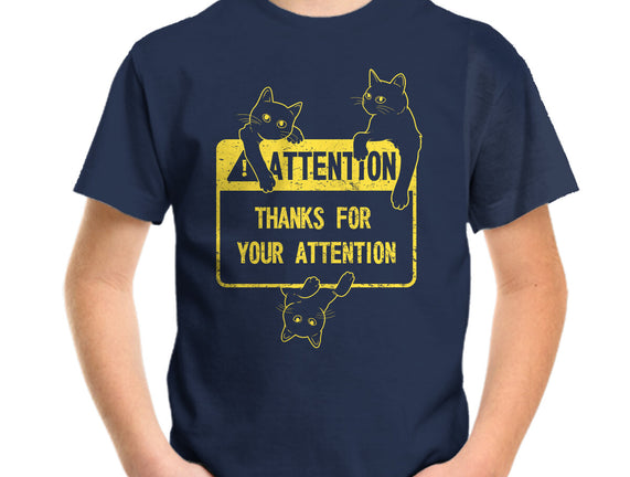 Thanks For Your Attention