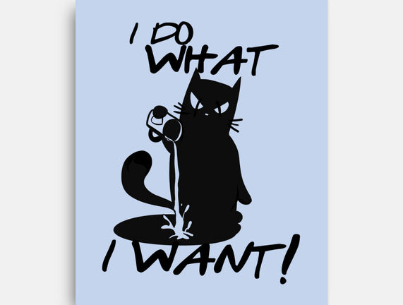 I Do What I Want