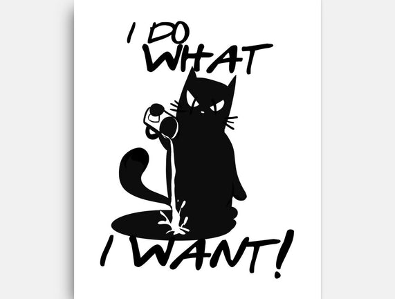 I Do What I Want