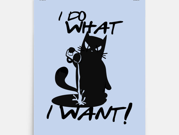 I Do What I Want