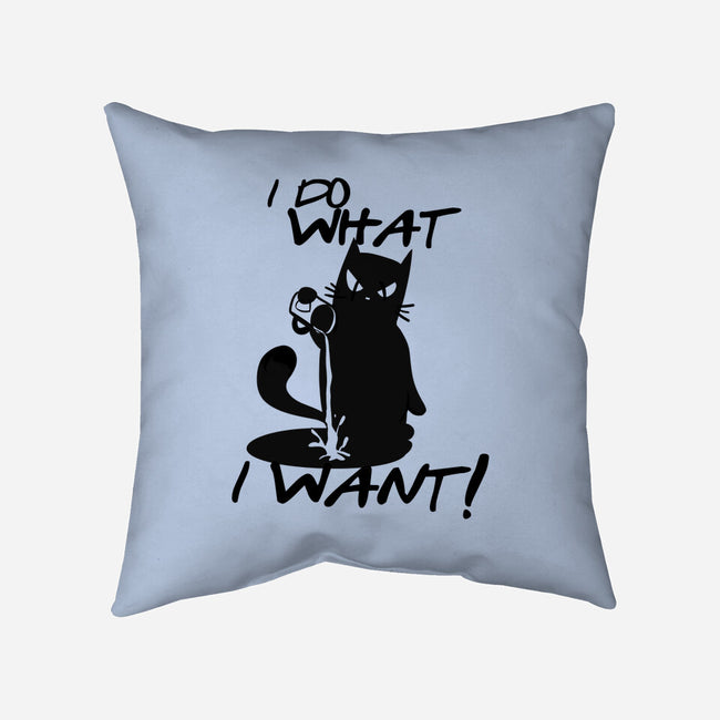 I Do What I Want-none removable cover w insert throw pillow-fanfabio