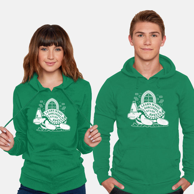 Pastor Turtle-unisex pullover sweatshirt-Logozaste