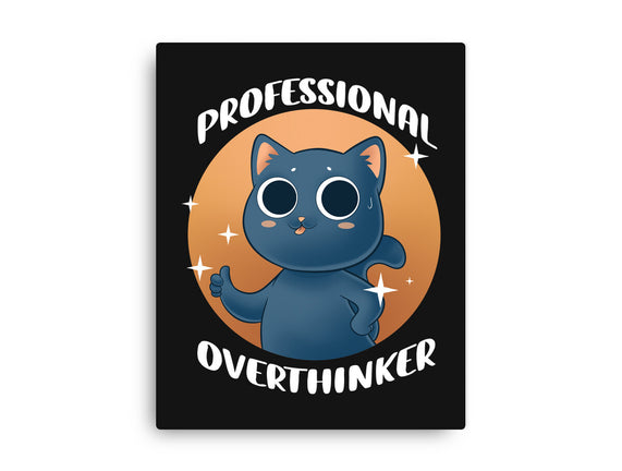 Professional Overthinker