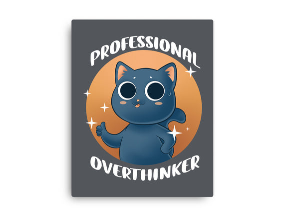 Professional Overthinker
