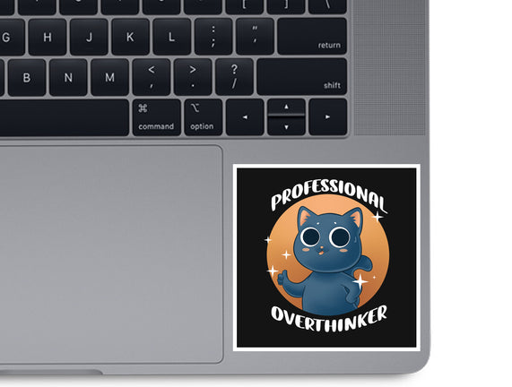 Professional Overthinker
