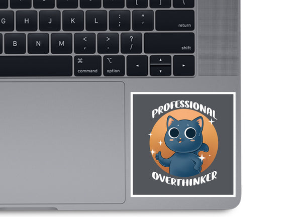 Professional Overthinker