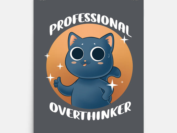 Professional Overthinker