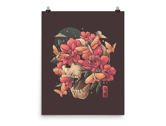 Blossom In Grave
