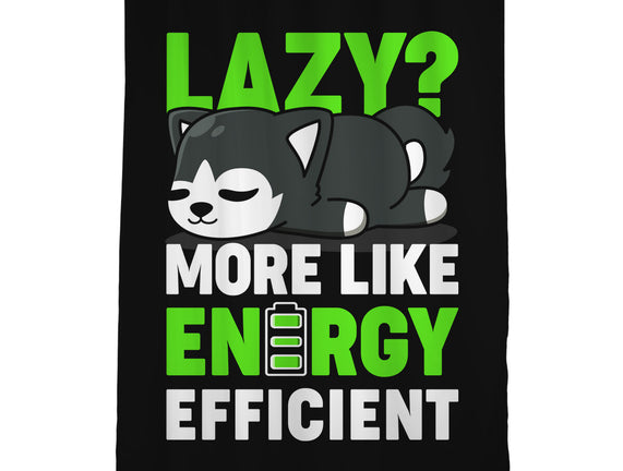 Energy Efficient