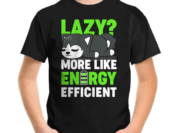 Energy Efficient