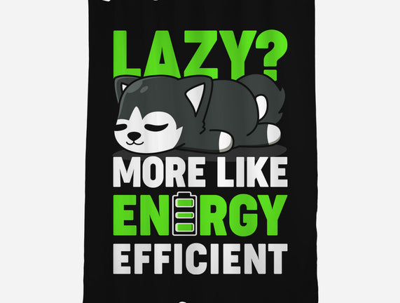 Energy Efficient